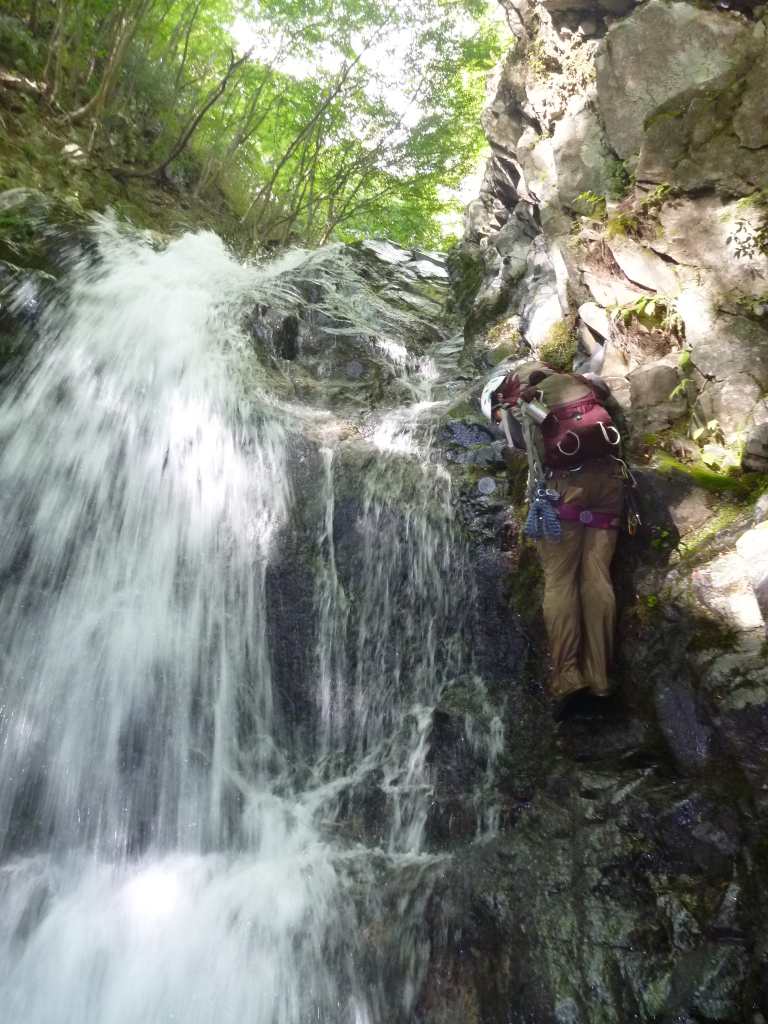 NET�R�x��hHALU�h