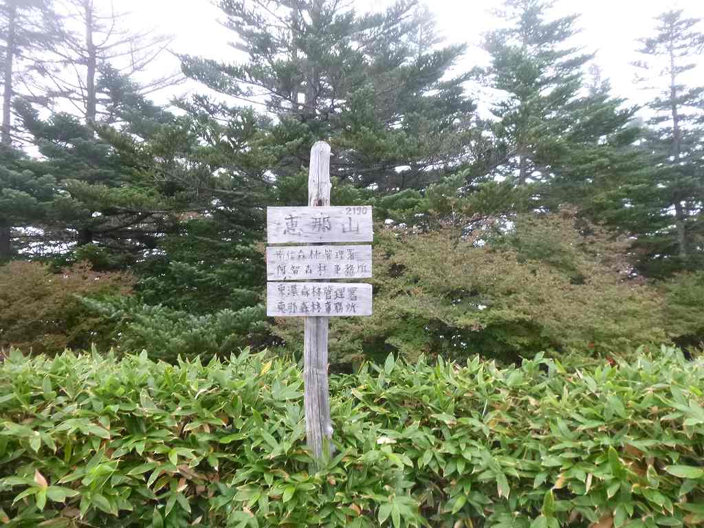 NET�R�x��hHALU�h