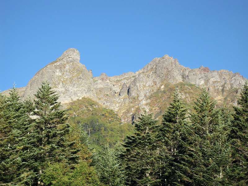 NET�R�x��hHALU�h