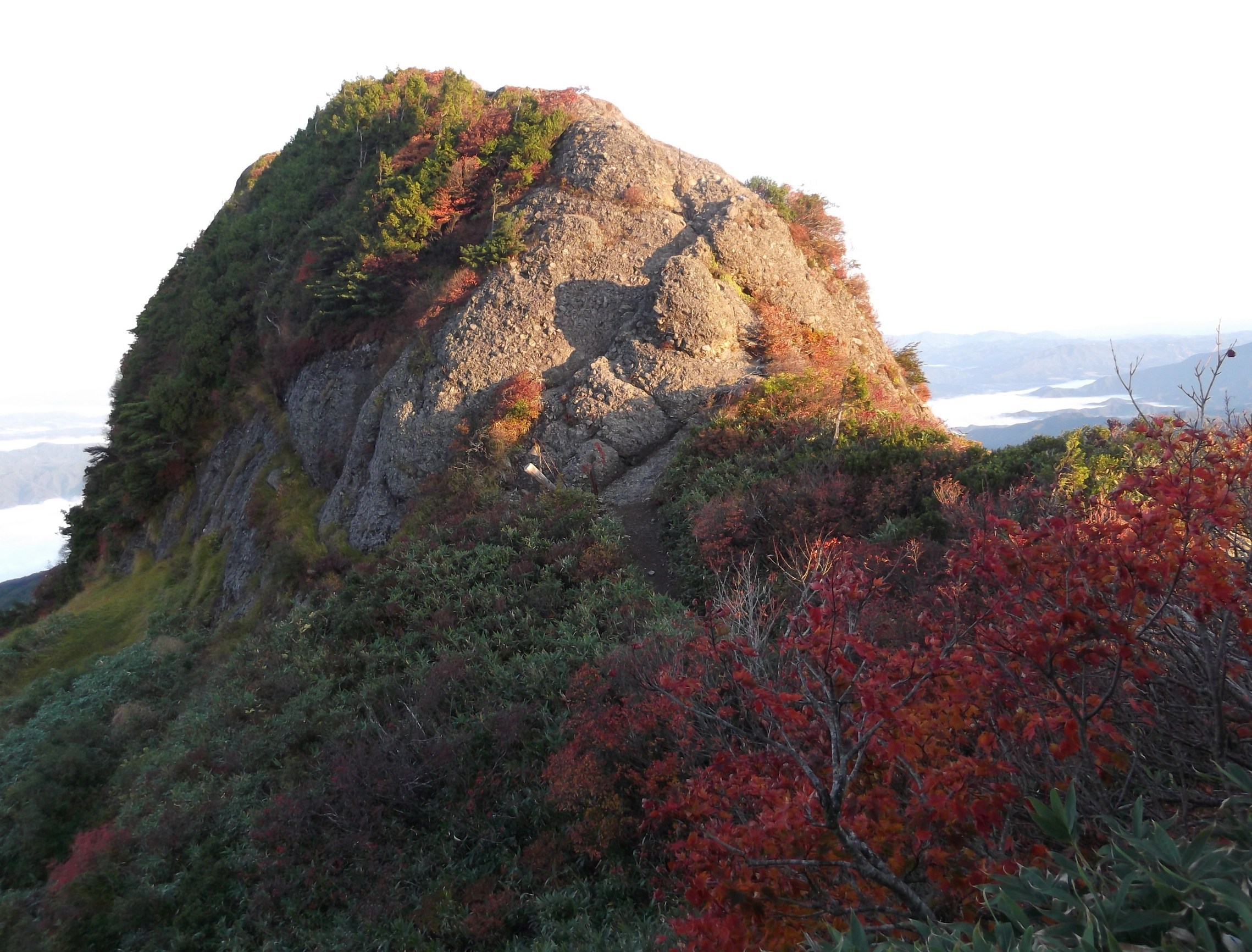 NET�R�x��hHALU�h