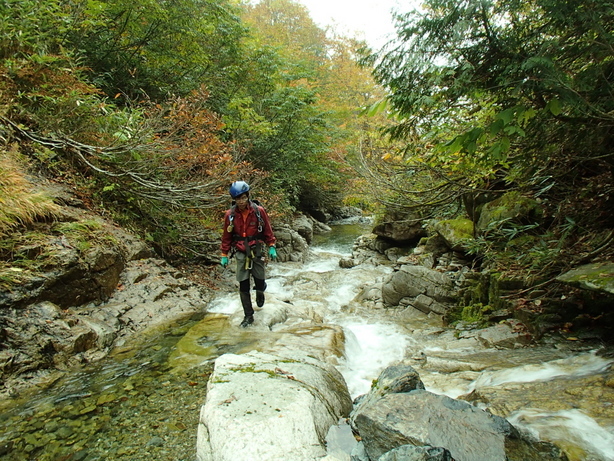 NET�R�x��hHALU�h