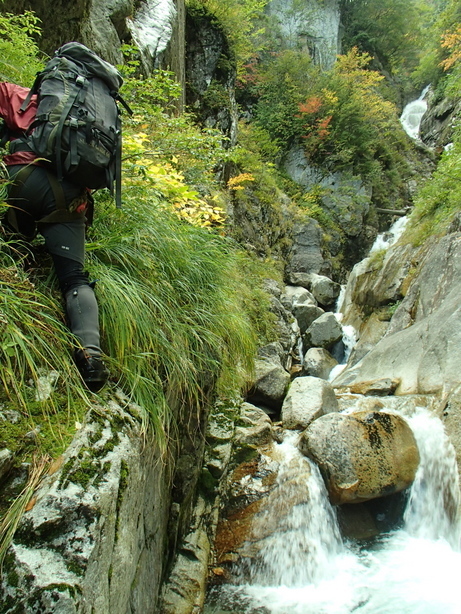 NET�R�x��hHALU�h