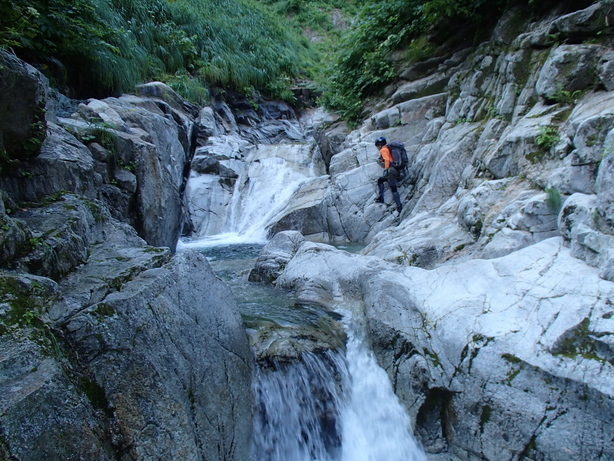 NET�R�x��hHALU�h