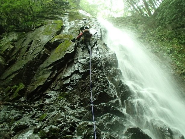 NET�R�x��hHALU�h