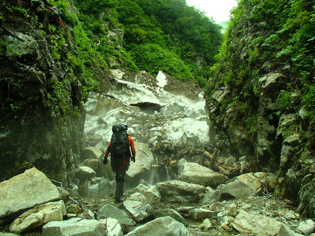 NET�R�x��hHALU�h