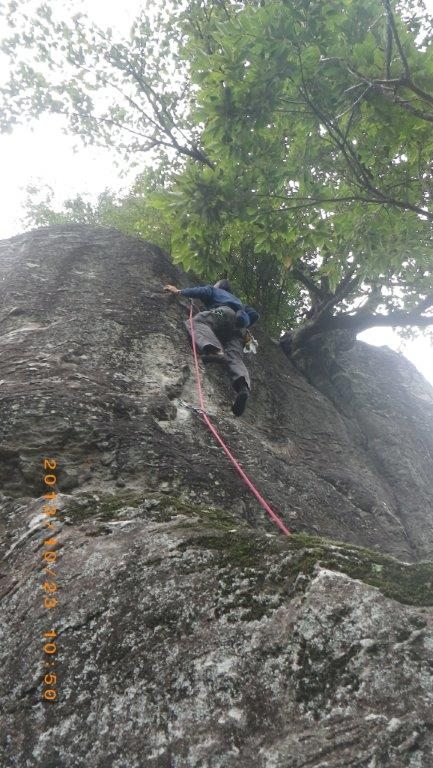 NET�R�x��hHALU�h