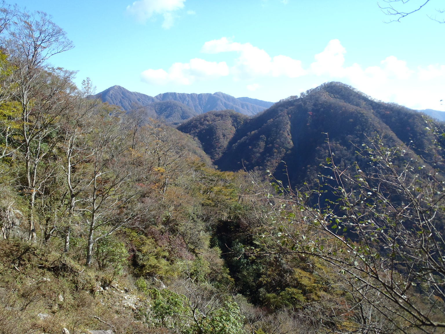 NET�R�x��hHALU�h