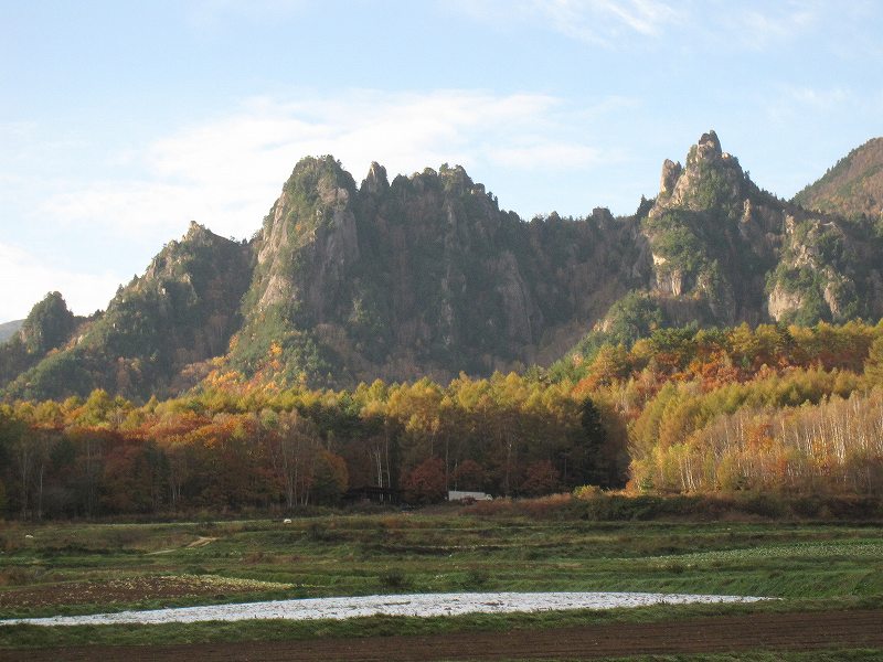 NET�R�x��hHALU�h