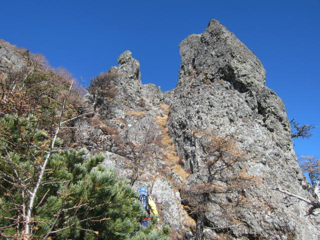 NET�R�x��hHALU�h