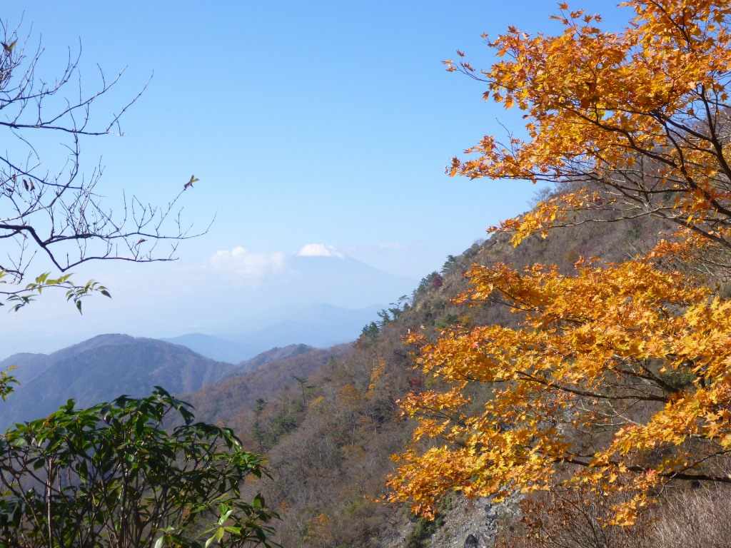 NET�R�x��hHALU�h