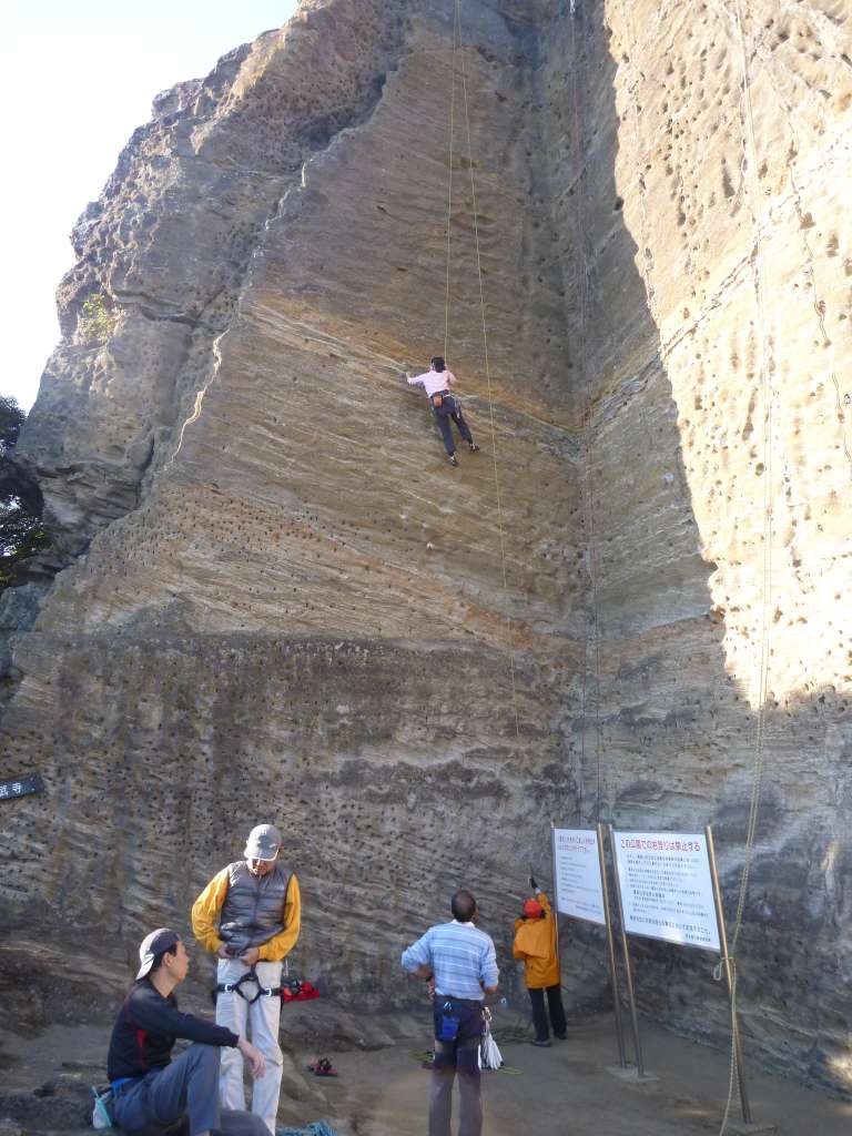 NET�R�x��hHALU�h