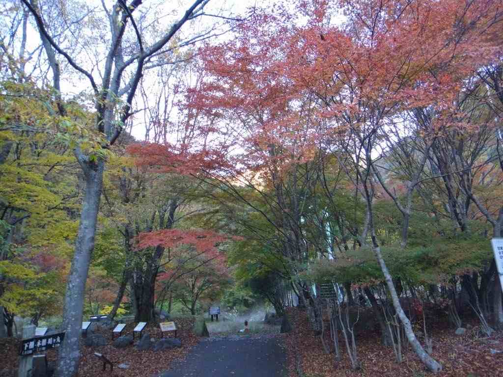 NET�R�x��hHALU�h