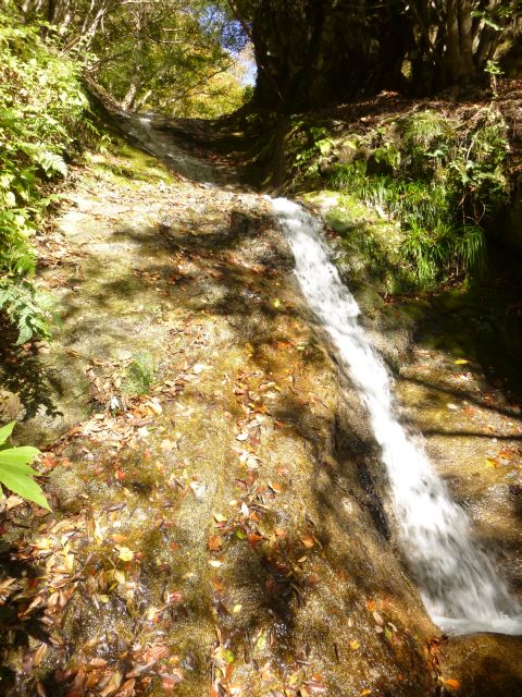 NET�R�x��hHALU�h