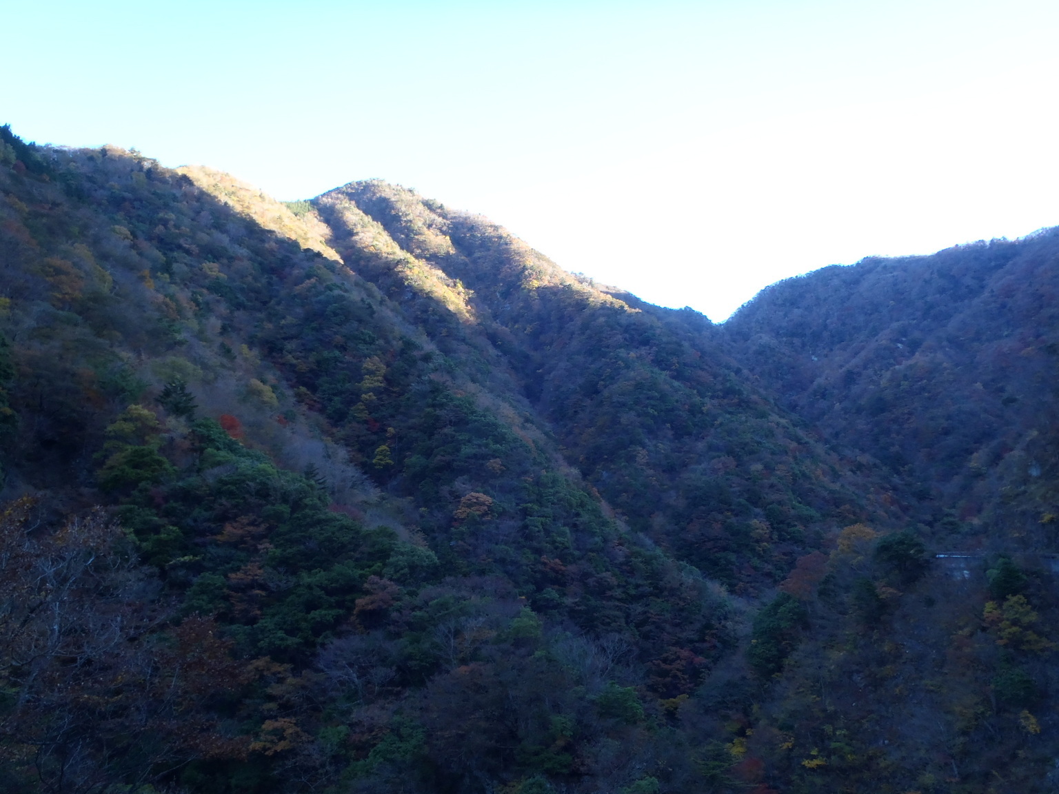 NET�R�x��hHALU�h