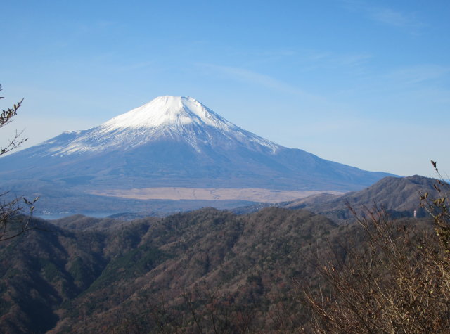 NET�R�x��hHALU�h