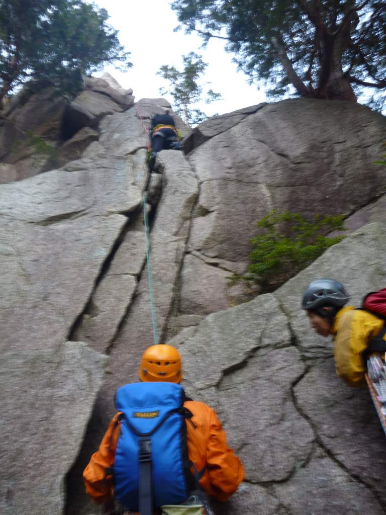 NET�R�x��hHALU�h