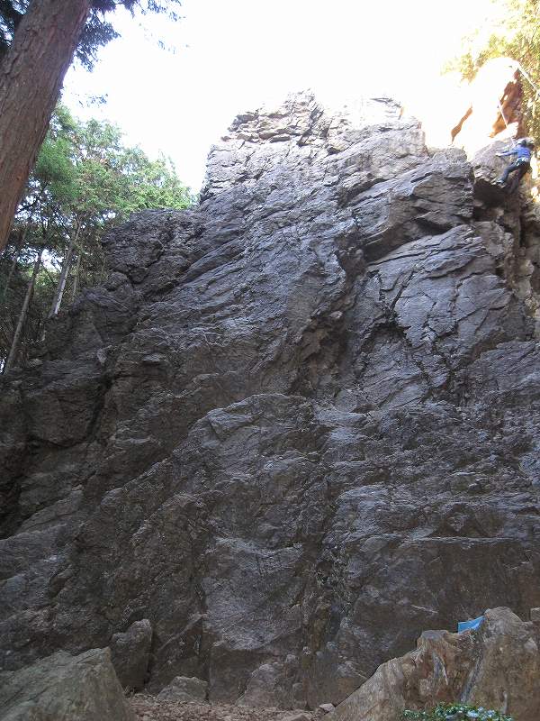 NET�R�x��hHALU�h