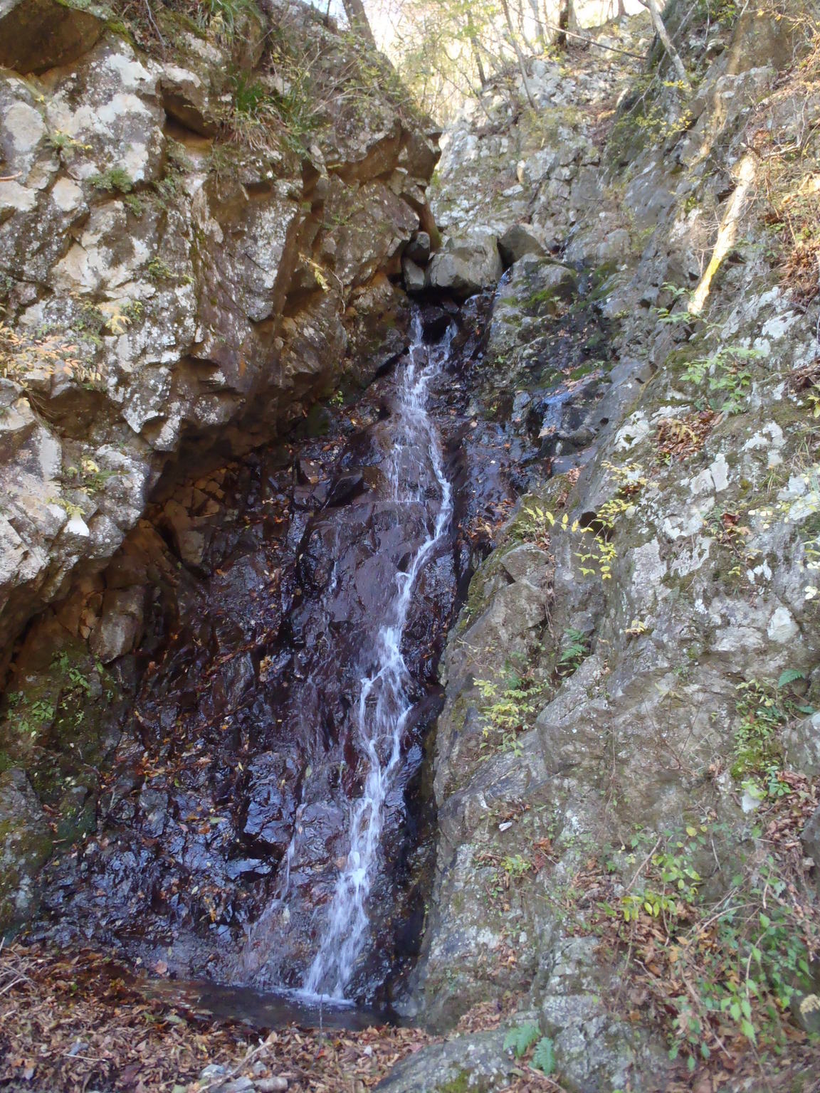 NET�R�x��hHALU�h