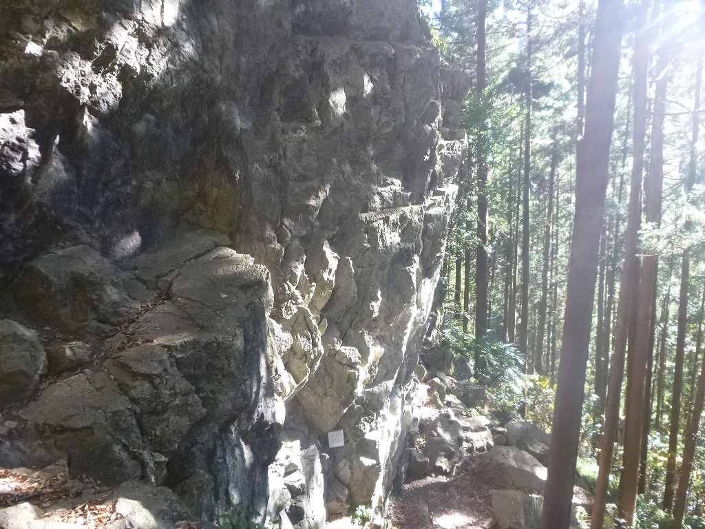 NET�R�x��hHALU�h