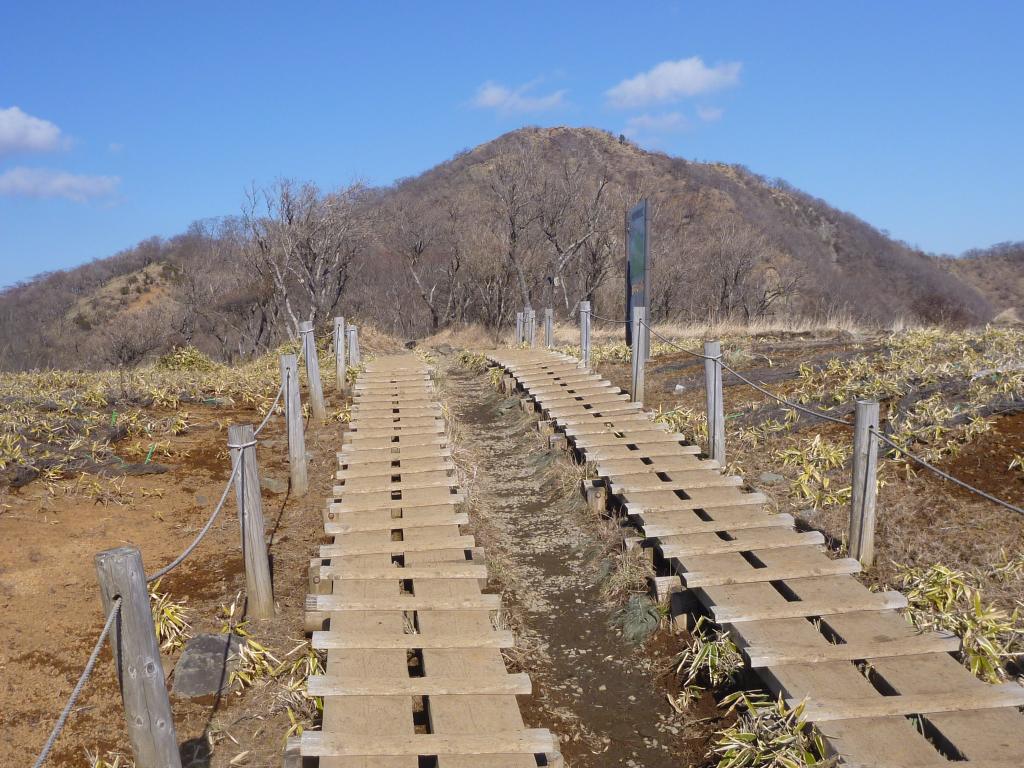 NET�R�x��hHALU�h