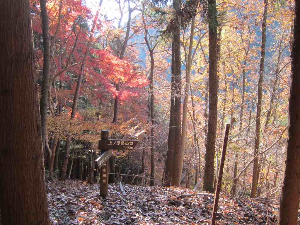 NET�R�x��hHALU�h