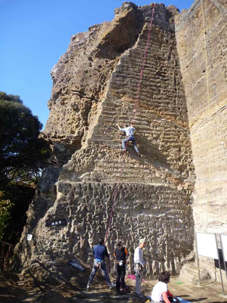 NET�R�x��hHALU�h