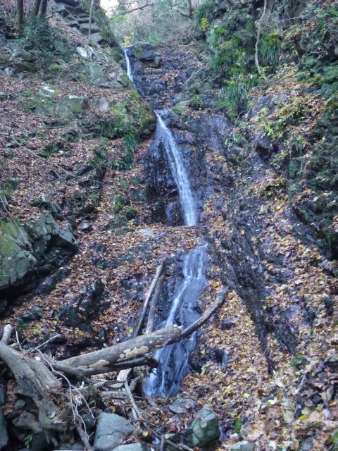 NET�R�x��hHALU�h