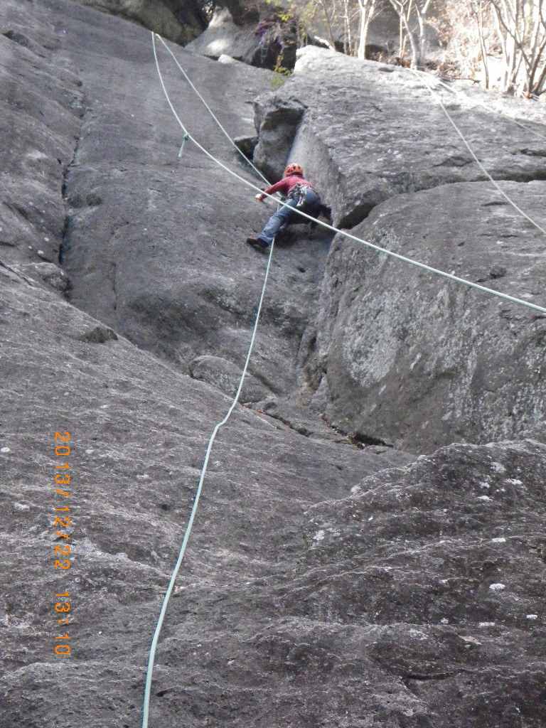 NET�R�x��hHALU�h