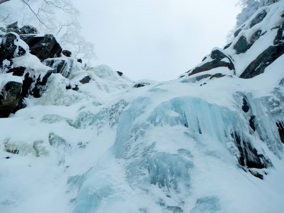 NET�R�x��hHALU�h