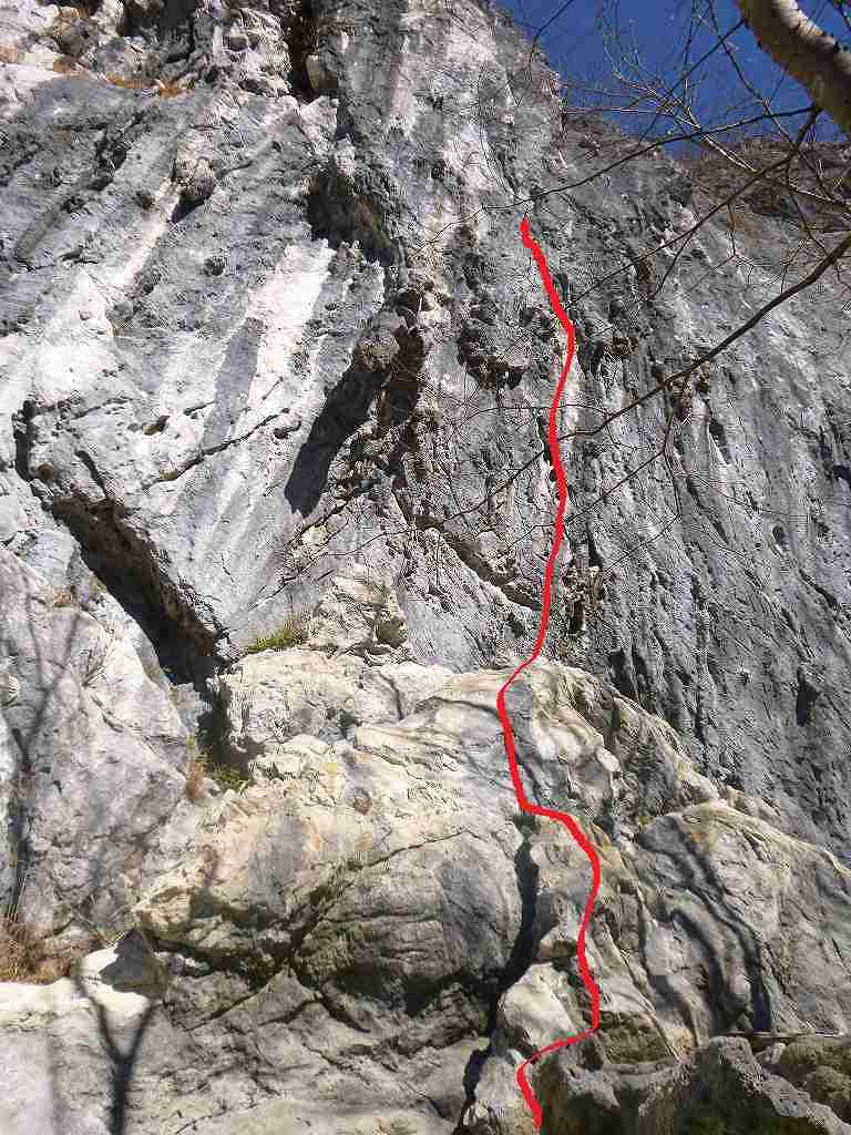 NET�R�x��hHALU�h