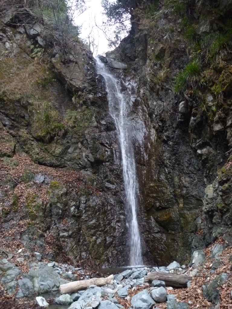 NET�R�x��hHALU�h