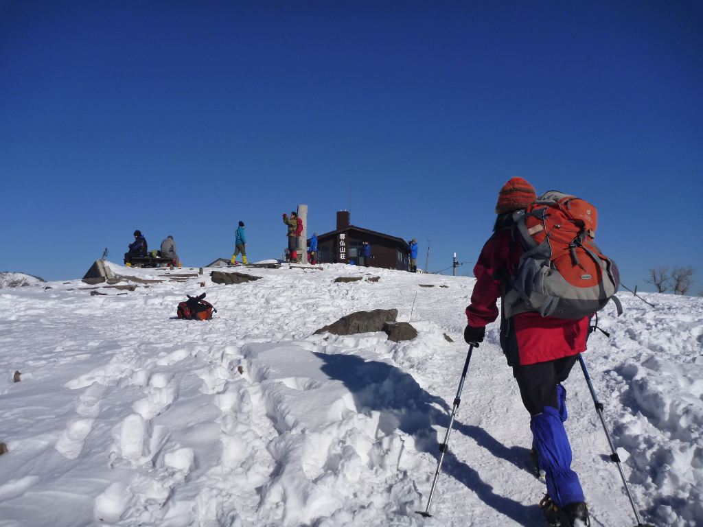 NET�R�x��hHALU�h