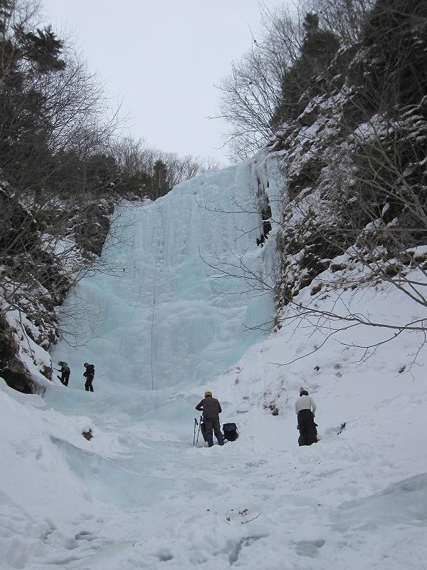 NET�R�x��hHALU�h