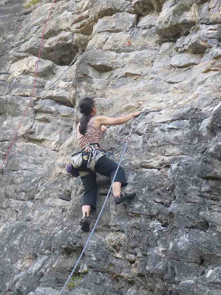 NET�R�x��hHALU�h