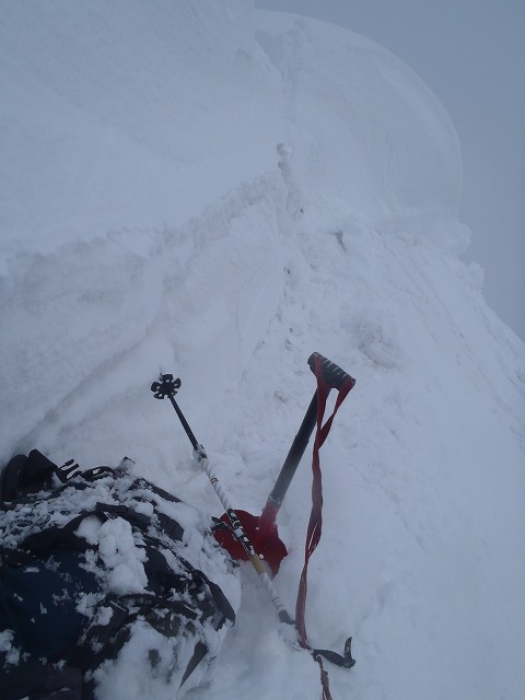 NET�R�x��hHALU�h