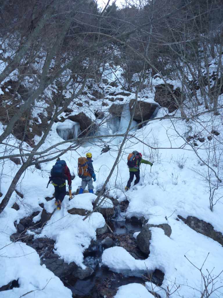 NET�R�x��hHALU�h