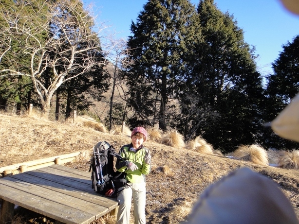 NET�R�x��hHALU�h