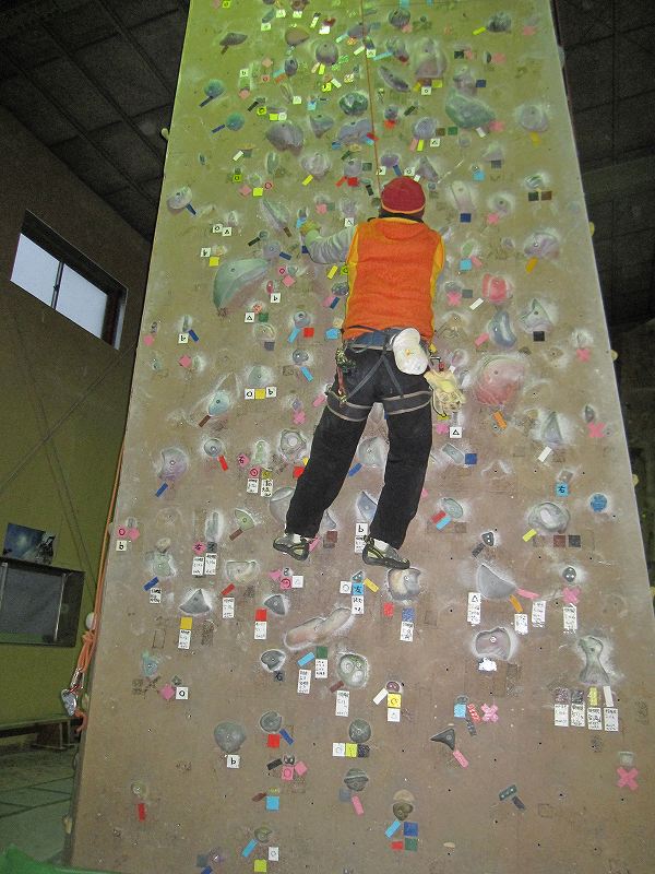 NET�R�x��hHALU�h