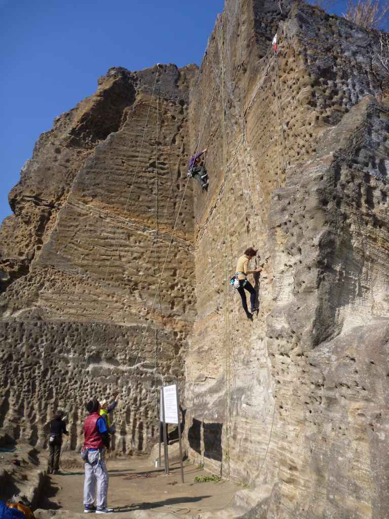 NET�R�x��hHALU�h