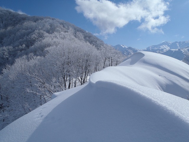 NET�R�x��hHALU�h