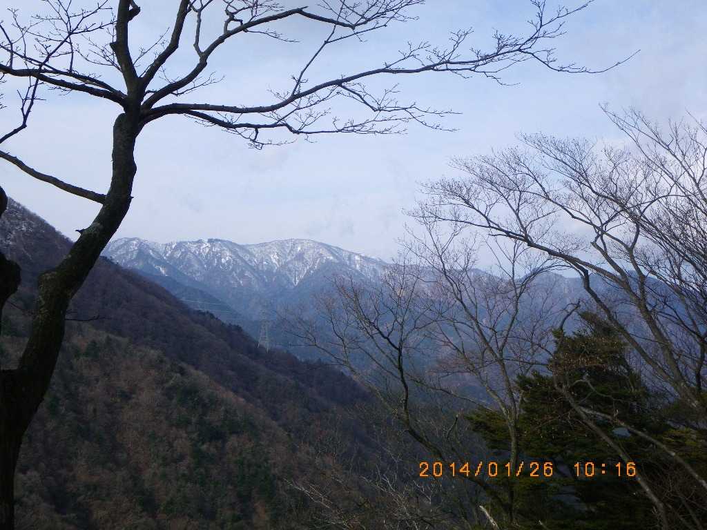 NET�R�x��hHALU�h