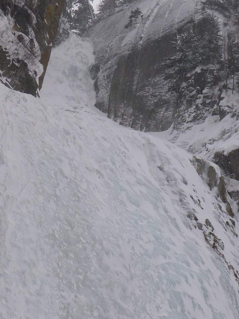 NET�R�x��hHALU�h