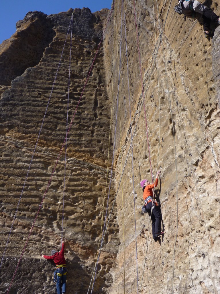 NET�R�x��hHALU�h