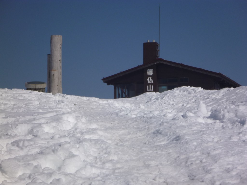 NET�R�x��hHALU�h