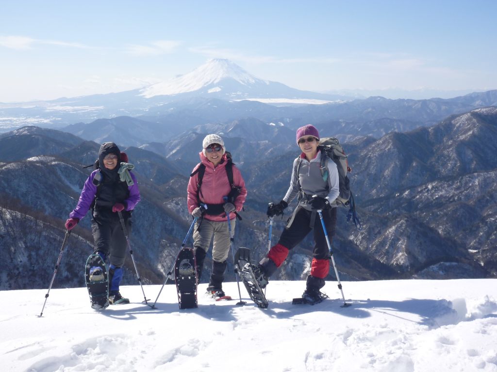 NET�R�x��hHALU�h