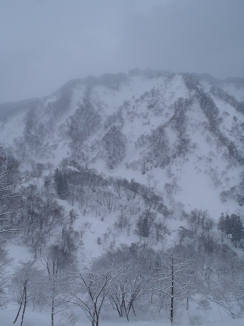 NET�R�x��hHALU�h