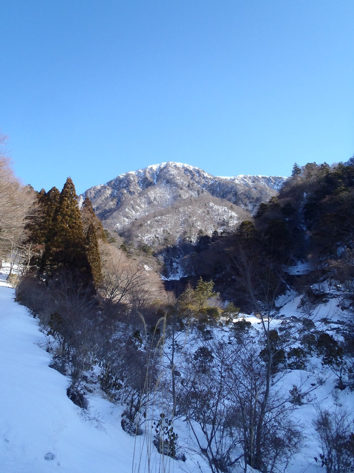 NET�R�x��hHALU�h