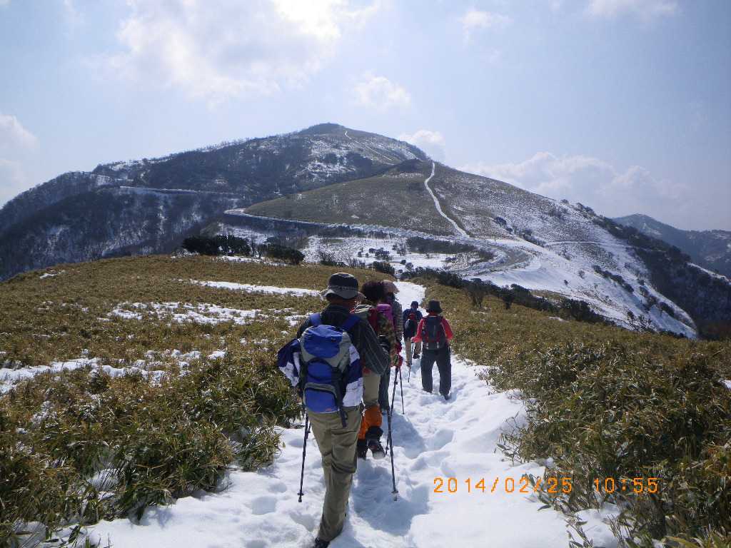 NET�R�x��hHALU�h