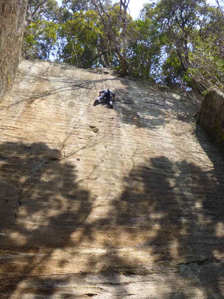 NET�R�x��hHALU�h