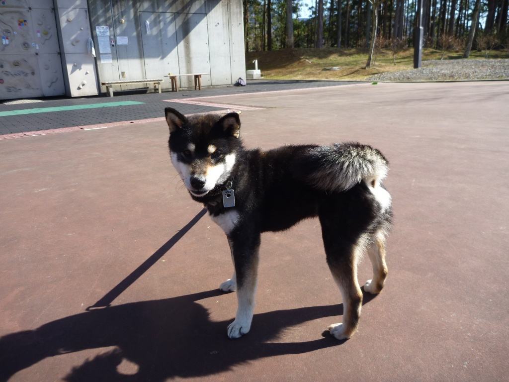 NET�R�x��hHALU�h